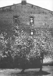 BR7.JPG (33957 BYTES)