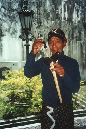 16.JPG (55388 BYTES)