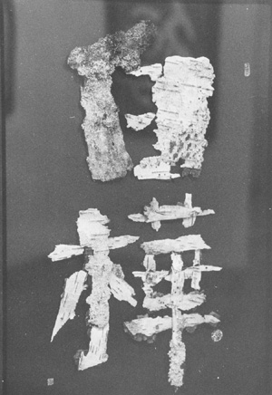 J5.JPG (50996 BYTES)