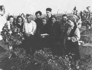 AA7.JPG (24628 BYTES)