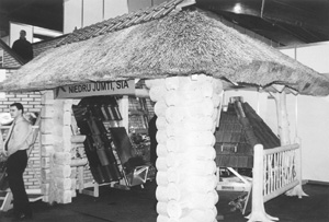 I1.JPG (32372 BYTES)