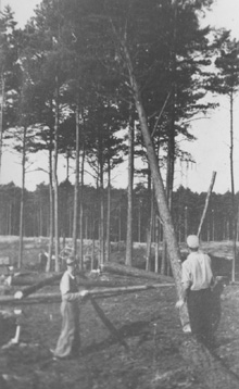 084.JPG (35622 BYTES)