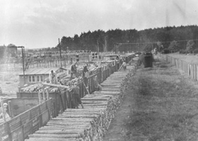 091.JPG (24991 BYTES)