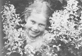 19.JPG (32816 BYTES)