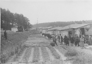 03.JPG (23505 BYTES)