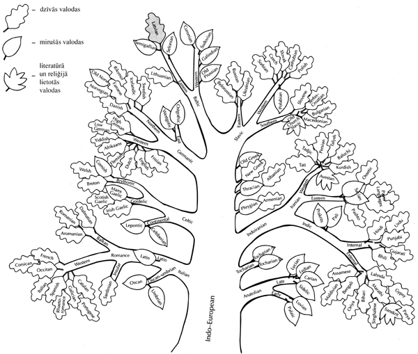 VALODA2.GIF (89435 BYTES)