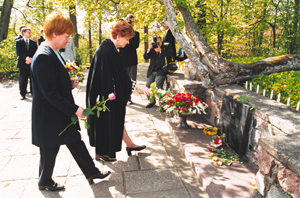 01S.JPG (106324 BYTES)