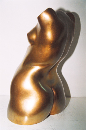 BR1.JPG (45986 BYTES)