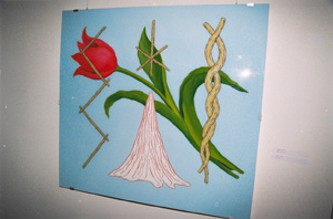 BR2.JPG (29076 BYTES)