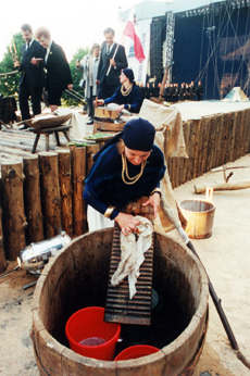 H04.JPG (114120 BYTES)