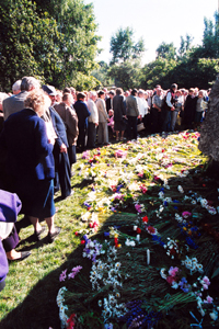 22.JPG (107979 BYTES)