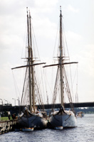 BUR1.JPG (16331 BYTES)