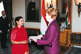 VEST3.JPG (23236 bytes)