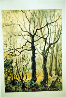 ZA2.JPG (33690 bytes)