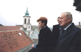 V21.JPG (21483 bytes)