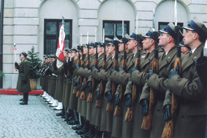 P5.JPG (39269 bytes)