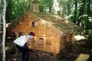 LAUKI07.JPG (29682 bytes)