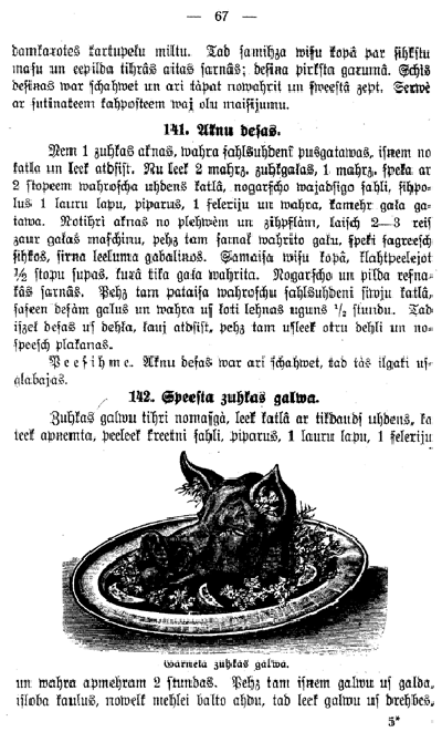 RE06 COPY.GIF (117341 bytes)