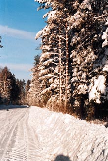 SN6.JPG (38179 bytes)