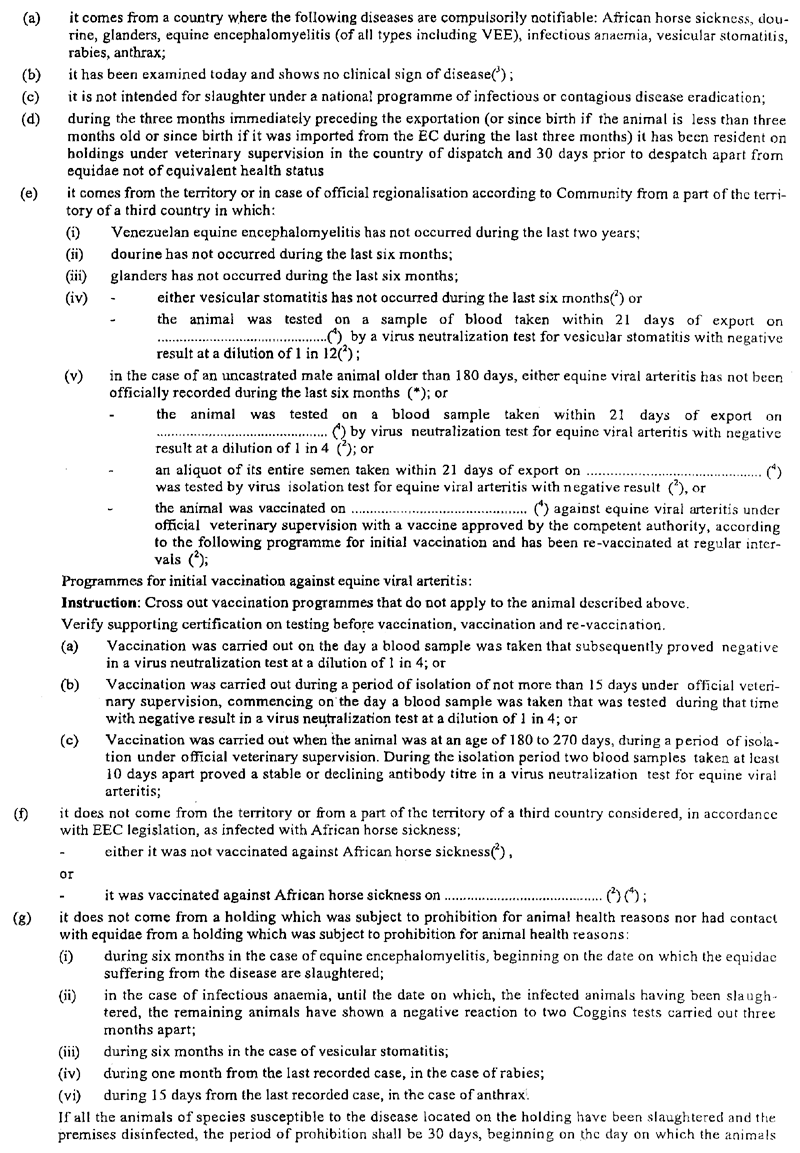 ZIRGI5 COPY.GIF (271581 bytes)