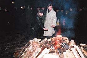 DOMS.JPG (20582 bytes)