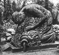 ZA6.JPG (23464 bytes)