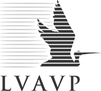LVAVP COPY.GIF (8333 bytes)