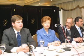 VIKE3.JPG (23144 bytes)