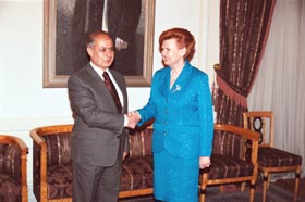 T8.JPG (22289 bytes)