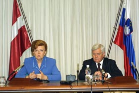 VIKE11.JPG (23268 bytes)