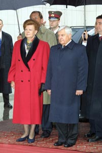 VIKE6.JPG (22009 bytes)