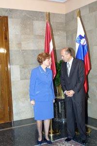 VIKE8.JPG (22425 bytes)