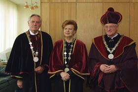 VIKE6.JPG (19595 bytes)