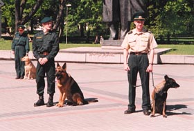 SVETKI3.JPG (22098 bytes)