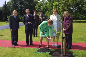 IRIJA2.JPG (26315 bytes)