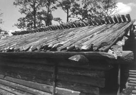 ARAISI10.JPG (20250 bytes)