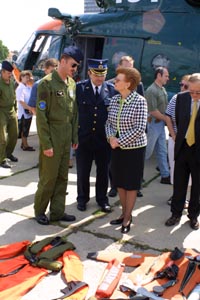 VIKE5.JPG (29871 bytes)