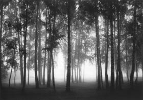 GLEIZDS5.JPG (19106 bytes)