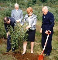 VVF09.JPG (24585 bytes)