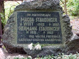 VOITA2.JPG (34302 bytes)