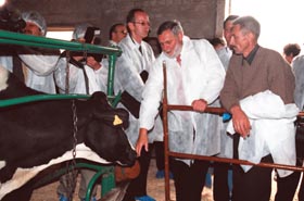 F12.JPG (23654 bytes)