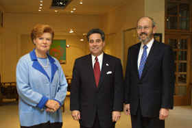 VIKE1.JPG (39707 bytes)