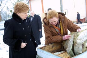 VIKE20.JPG (22194 bytes)