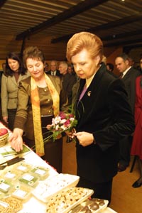 VIKE22.JPG (25348 bytes)