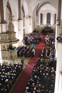 VIKE1.JPG (28254 bytes)