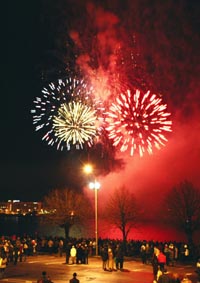 VIKE15.JPG (23189 bytes)