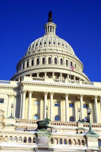 VASINGTONA1.JPG (26492 bytes)