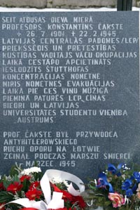 VVF21.JPG (30400 bytes)