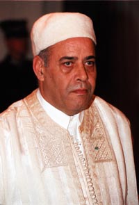 VEST5.JPG (19499 bytes)