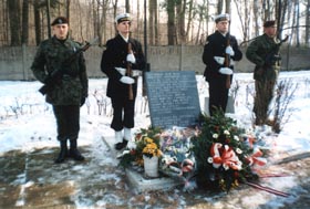 POLIJA3.JPG (28554 bytes)